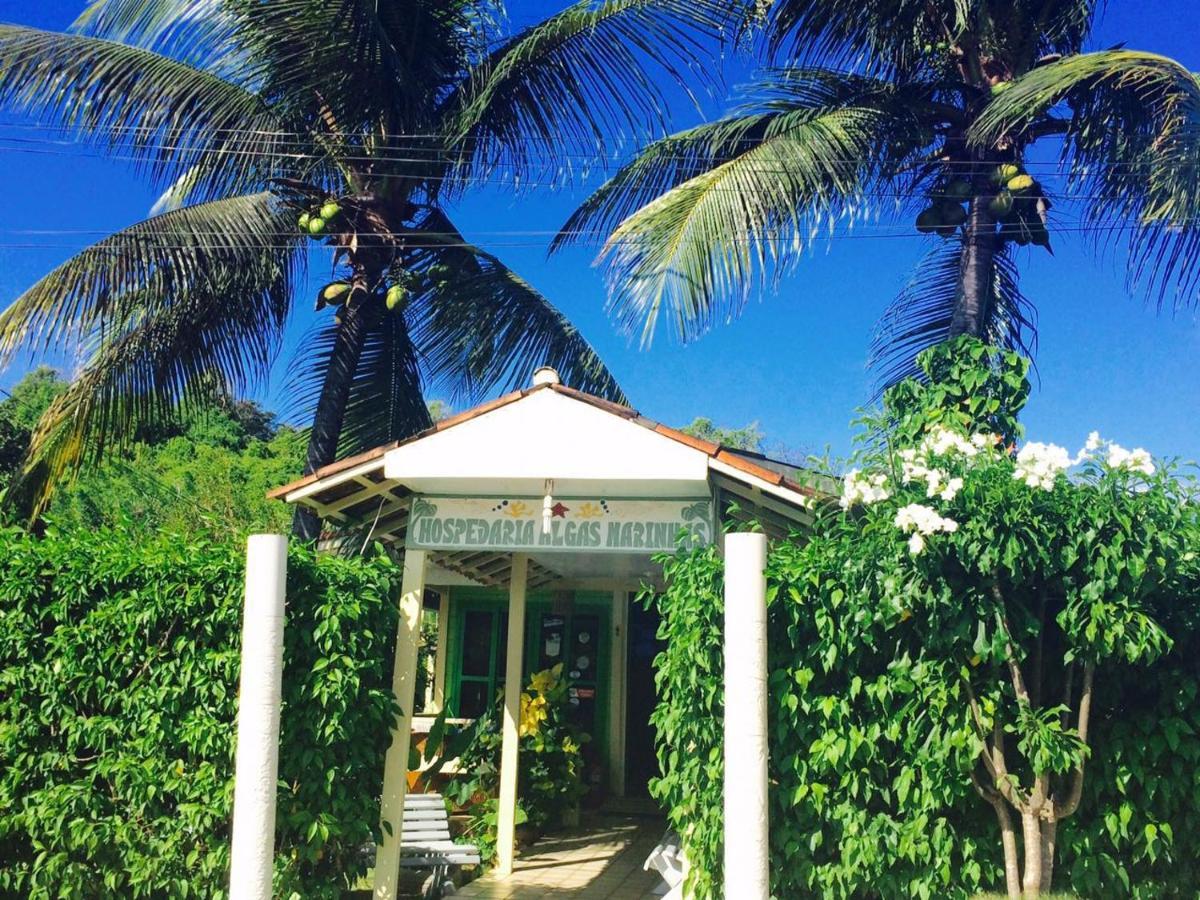 Hotel Pousada Algas Marinhas Fernando de Noronha Esterno foto